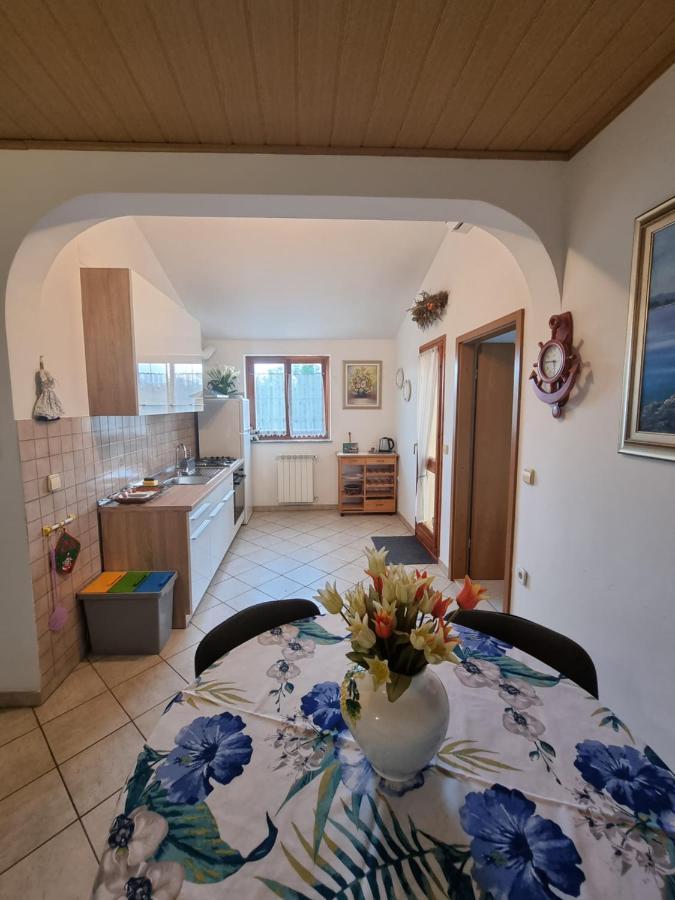 אומאג Apartments Jana מראה חיצוני תמונה